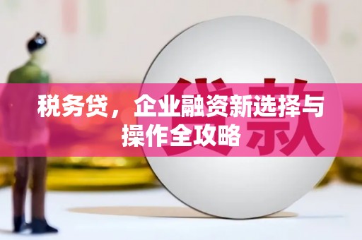 成武税务贷，企业融资新选择与操作全攻略