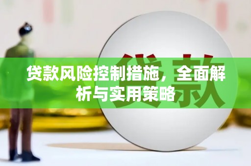 天峨贷款风险控制措施，全面解析与实用策略