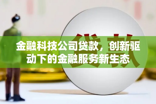 开平金融科技公司贷款，创新驱动下的金融服务新生态