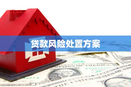 哈尔滨贷款风险处置方案