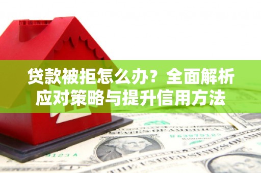 万峦贷款被拒怎么办？全面解析应对策略与提升信用方法