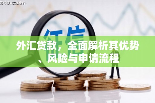 铜陵外汇贷款，全面解析其优势、风险与申请流程