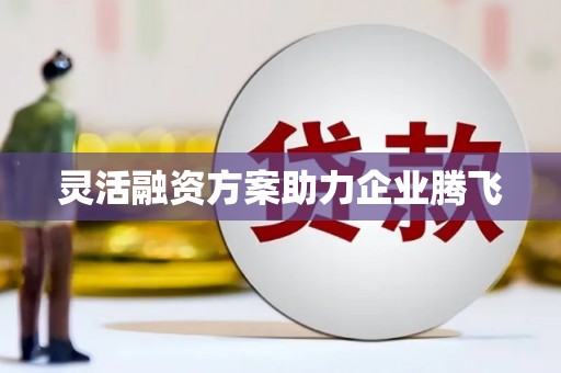 木垒灵活融资方案助力企业腾飞
