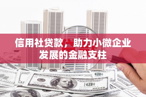 江东信用社贷款，助力小微企业发展的金融支柱