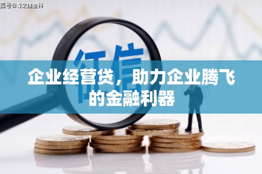 西夏企业经营贷，助力企业腾飞的金融利器