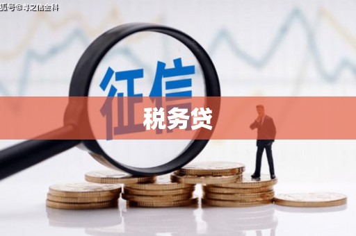 二仑税务贷