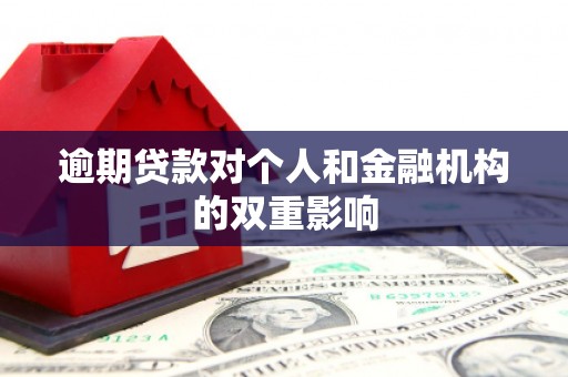 徽州逾期贷款对个人和金融机构的双重影响