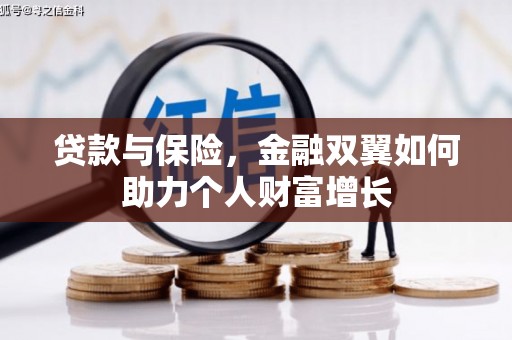 龙游贷款与保险，金融双翼如何助力个人财富增长