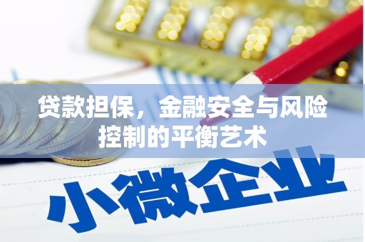 外埔贷款担保，金融安全与风险控制的平衡艺术