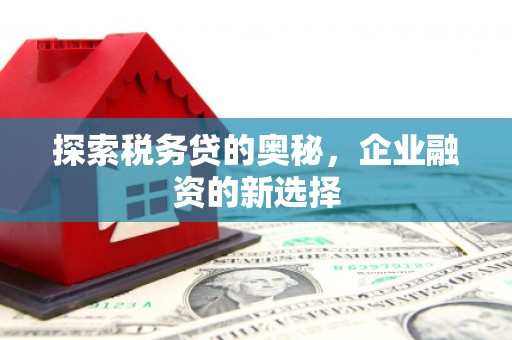 进贤探索税务贷的奥秘，企业融资的新选择
