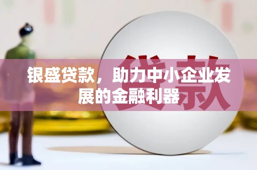 柳南银盛贷款，助力中小企业发展的金融利器