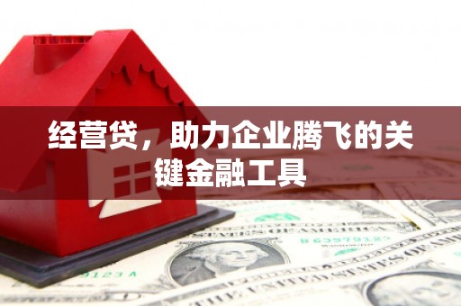 濮阳经营贷，助力企业腾飞的关键金融工具