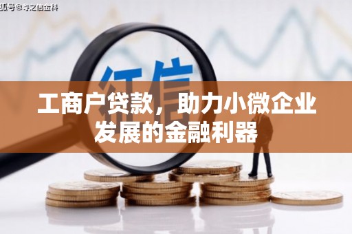 沈北新区工商户贷款，助力小微企业发展的金融利器