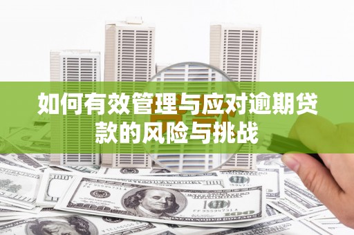 南乐如何有效管理与应对逾期贷款的风险与挑战