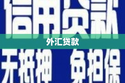 庆元外汇贷款
