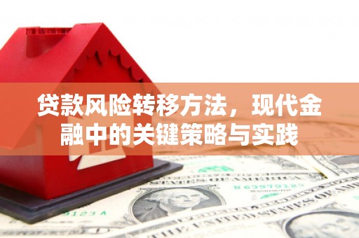 万峦贷款风险转移方法，现代金融中的关键策略与实践