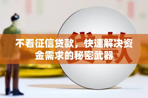 庐江不看征信贷款，快速解决资金需求的秘密武器