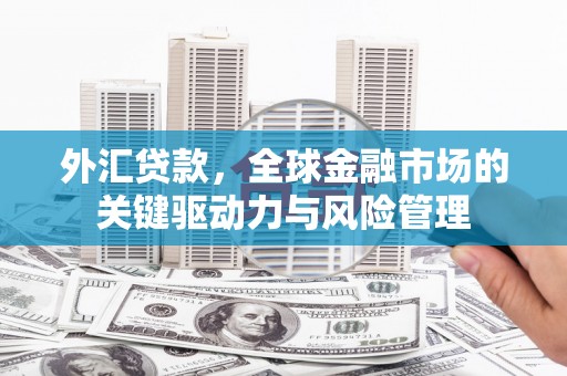 银川外汇贷款，全球金融市场的关键驱动力与风险管理