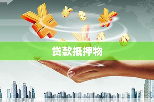 三峡贷款抵押物