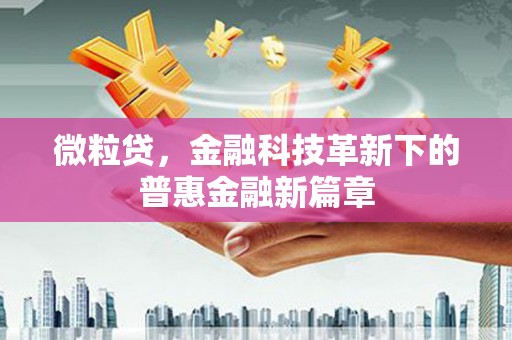 万秀微粒贷，金融科技革新下的普惠金融新篇章
