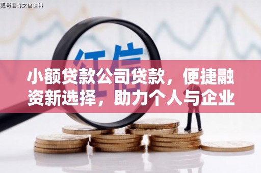 保康小额贷款公司贷款，便捷融资新选择，助力个人与企业成长
