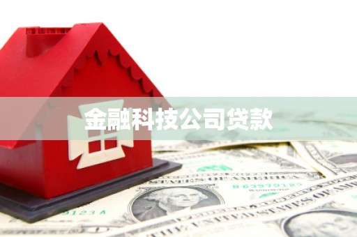 宣化金融科技公司贷款