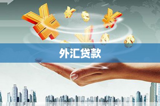 九台外汇贷款