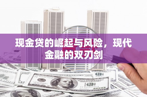 盐源现金贷的崛起与风险，现代金融的双刃剑