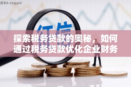 舞阳探索税务贷款的奥秘，如何通过税务贷款优化企业财务