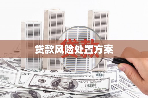 湖西贷款风险处置方案