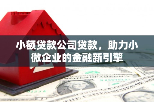 汾阳小额贷款公司贷款，助力小微企业的金融新引擎