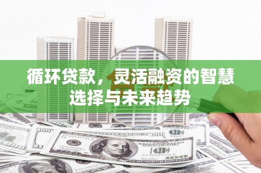 埔里循环贷款，灵活融资的智慧选择与未来趋势