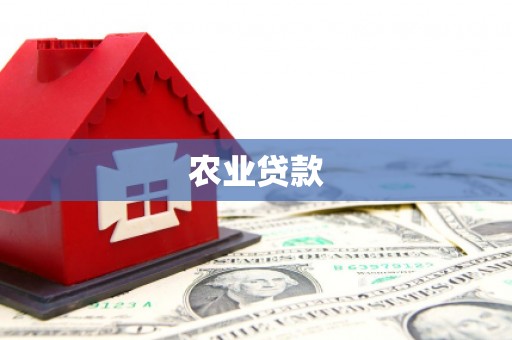 友谊农业贷款