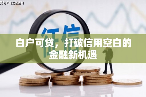 谯城白户可贷，打破信用空白的金融新机遇