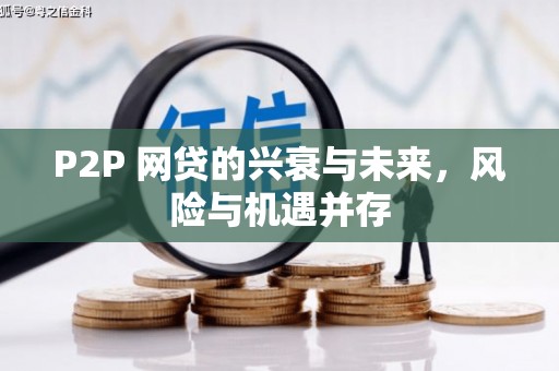 沈河P2P 网贷的兴衰与未来，风险与机遇并存