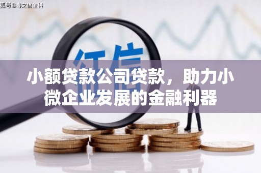 红安小额贷款公司贷款，助力小微企业发展的金融利器