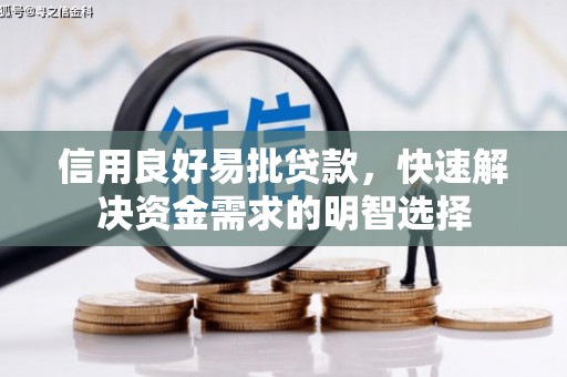 广元信用良好易批贷款，快速解决资金需求的明智选择