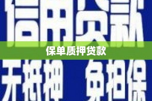 常平保单质押贷款