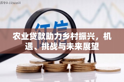 邓州农业贷款助力乡村振兴，机遇、挑战与未来展望