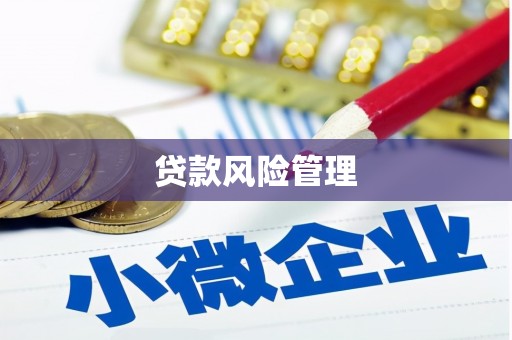 康保贷款风险管理
