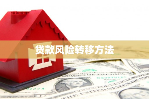 美兰贷款风险转移方法