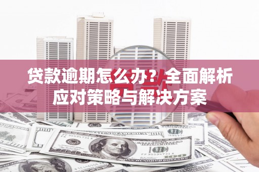 修文贷款逾期怎么办？全面解析应对策略与解决方案