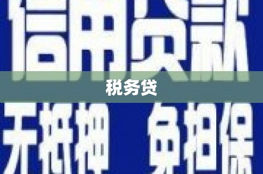 锦州税务贷