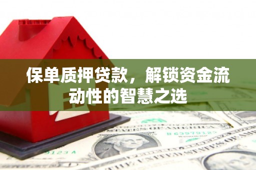 伊吾保单质押贷款，解锁资金流动性的智慧之选
