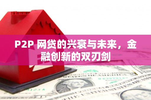 芦淞P2P 网贷的兴衰与未来，金融创新的双刃剑