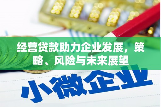 藤县经营贷款助力企业发展，策略、风险与未来展望