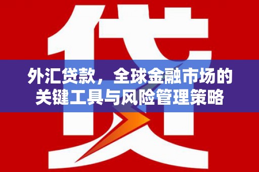 化德外汇贷款，全球金融市场的关键工具与风险管理策略