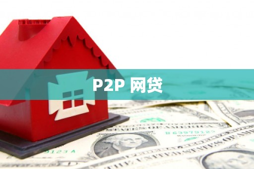 弋江P2P 网贷