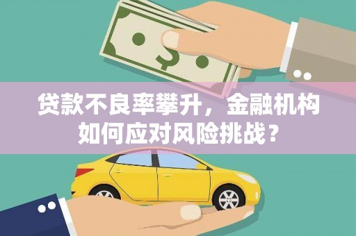 大林贷款不良率攀升，金融机构如何应对风险挑战？