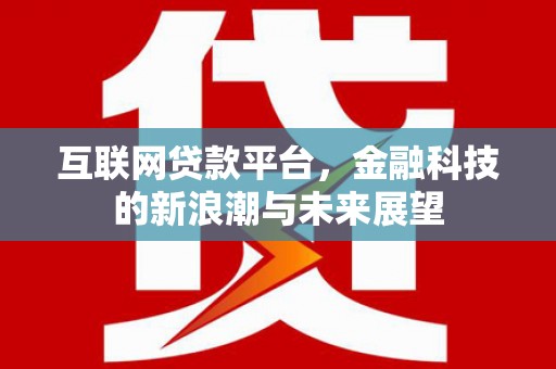 云龙互联网贷款平台，金融科技的新浪潮与未来展望